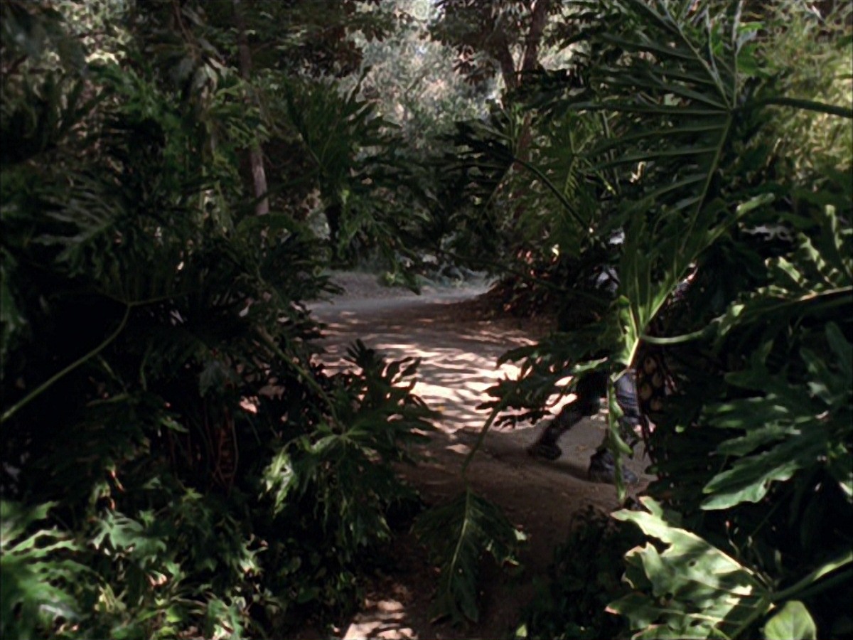 extant_StarTrek_VOY_7x09_7x10-FleshAndBlood_0146.jpg