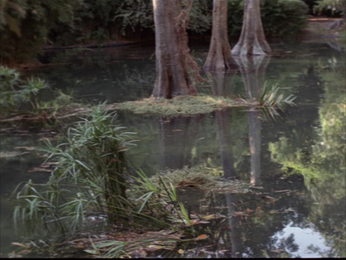 extant_StarTrek_VOY_7x09_7x10-FleshAndBlood_0173.jpg