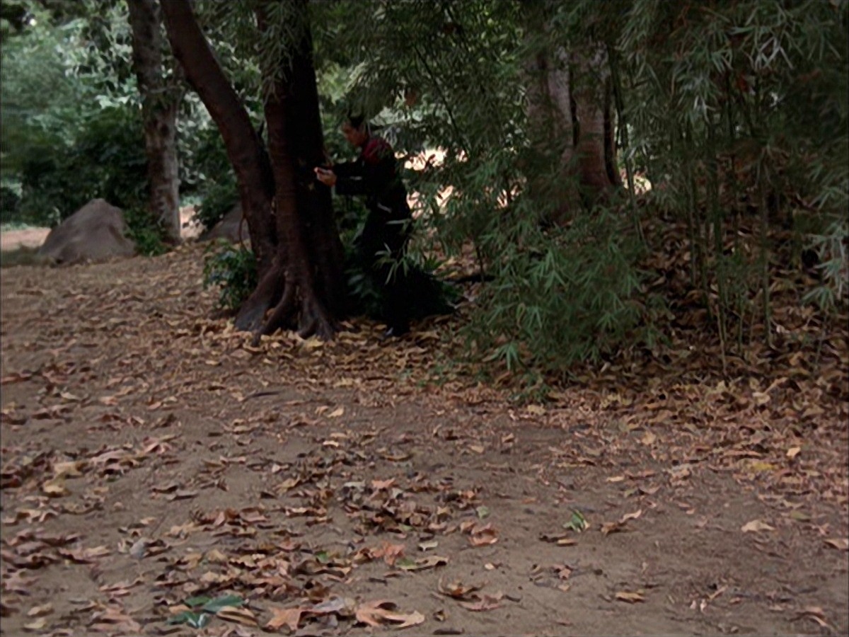 extant_StarTrek_VOY_7x09_7x10-FleshAndBlood_0662.jpg