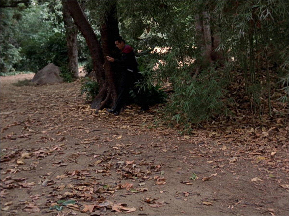 extant_StarTrek_VOY_7x09_7x10-FleshAndBlood_0663.jpg