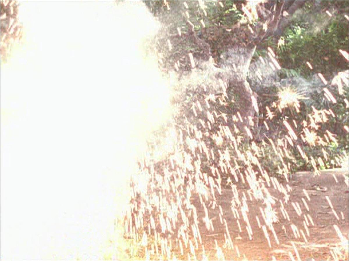 extant_StarTrek_VOY_7x09_7x10-FleshAndBlood_0731.jpg