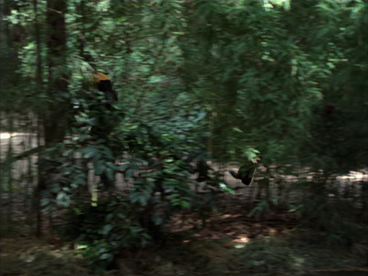 extant_StarTrek_VOY_7x09_7x10-FleshAndBlood_0764.jpg