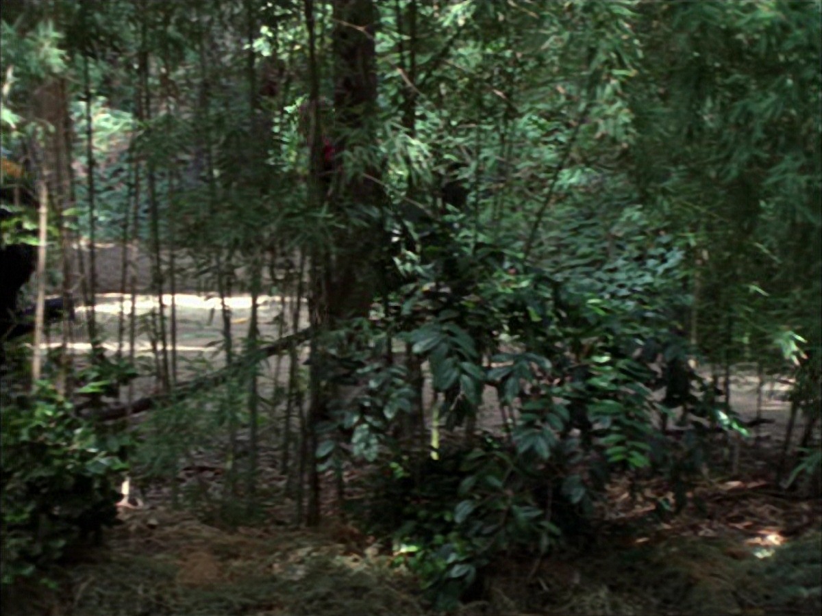 extant_StarTrek_VOY_7x09_7x10-FleshAndBlood_0765.jpg