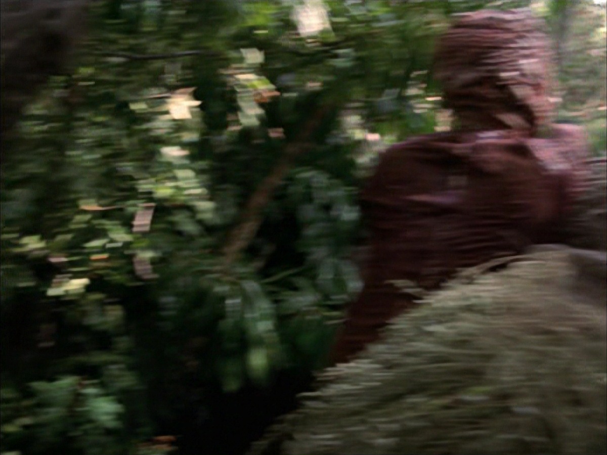 extant_StarTrek_VOY_7x09_7x10-FleshAndBlood_0774.jpg