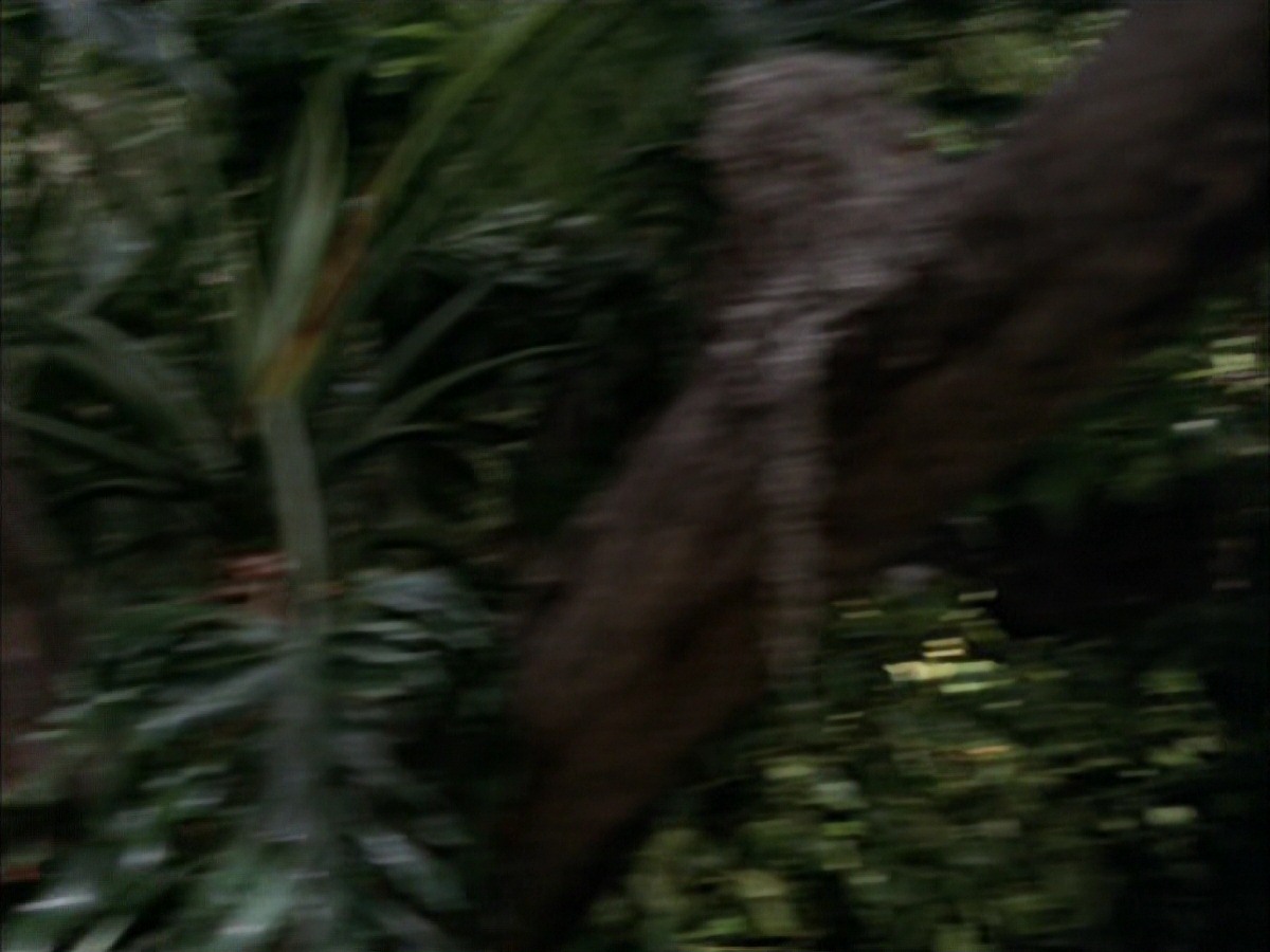 extant_StarTrek_VOY_7x09_7x10-FleshAndBlood_0775.jpg