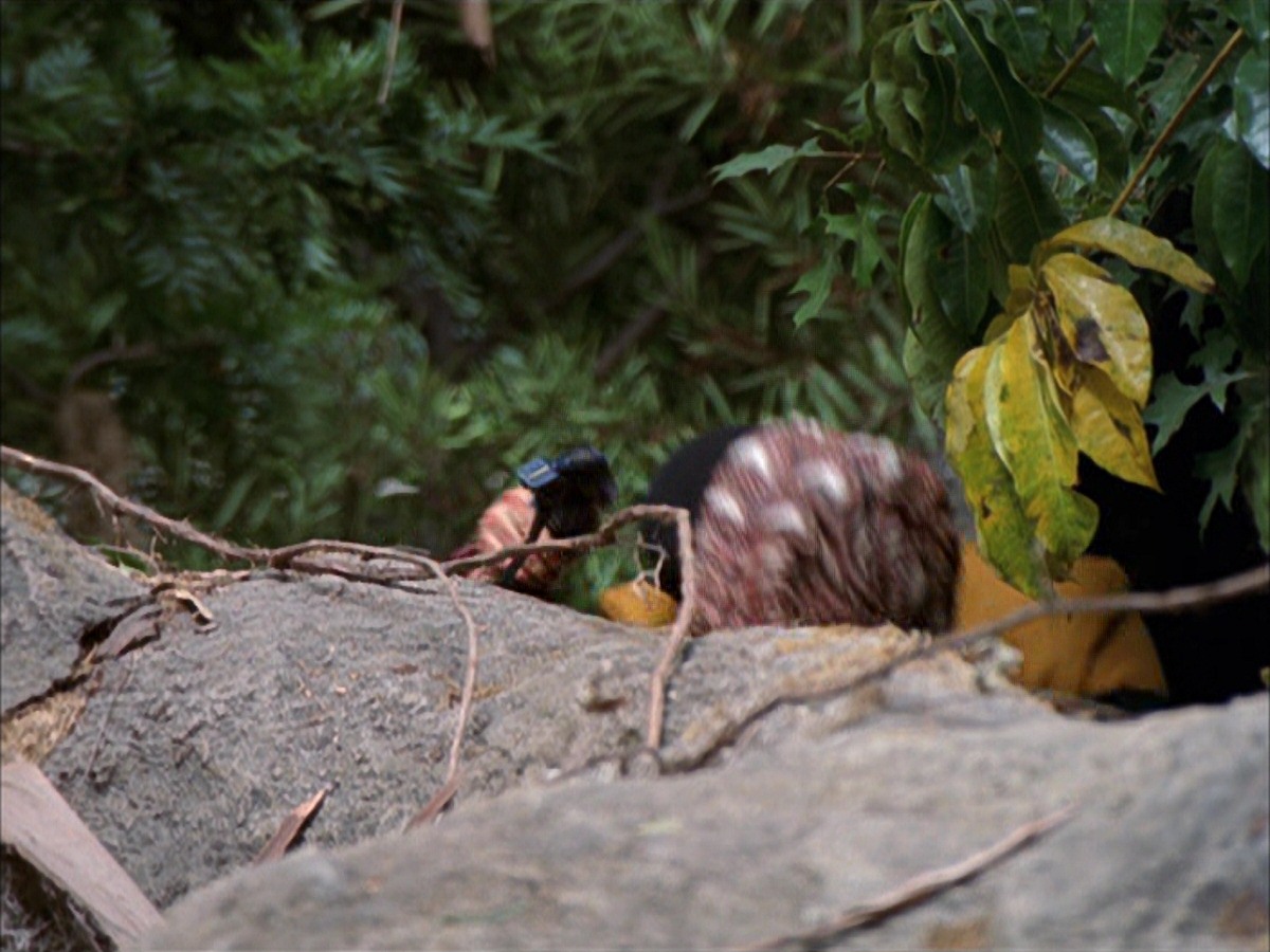 extant_StarTrek_VOY_7x09_7x10-FleshAndBlood_0785.jpg
