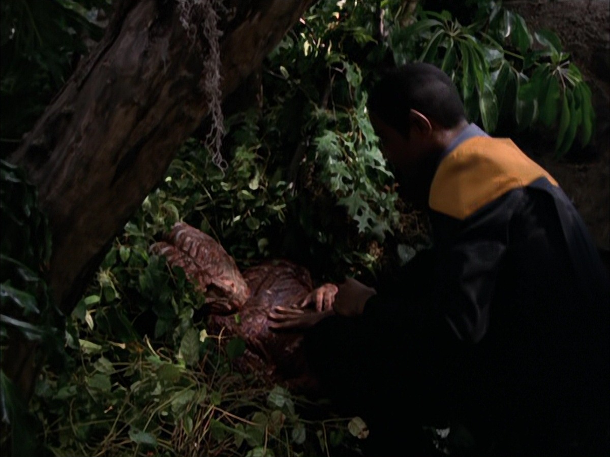 extant_StarTrek_VOY_7x09_7x10-FleshAndBlood_0788.jpg