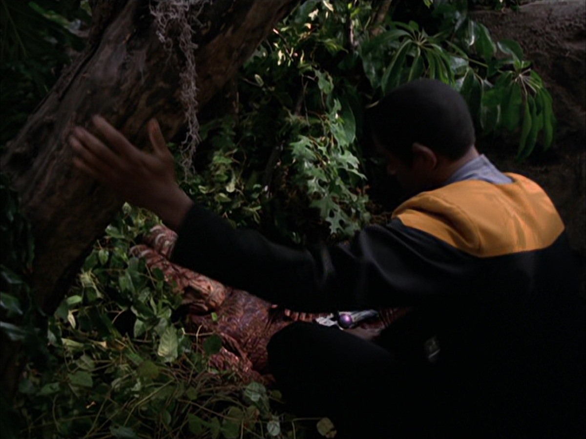 extant_StarTrek_VOY_7x09_7x10-FleshAndBlood_0789.jpg