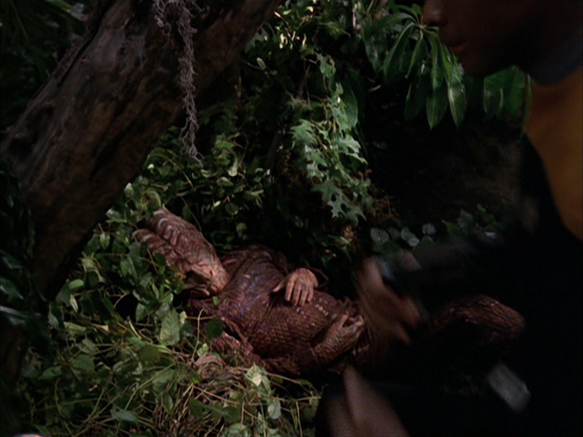 extant_StarTrek_VOY_7x09_7x10-FleshAndBlood_0791.jpg