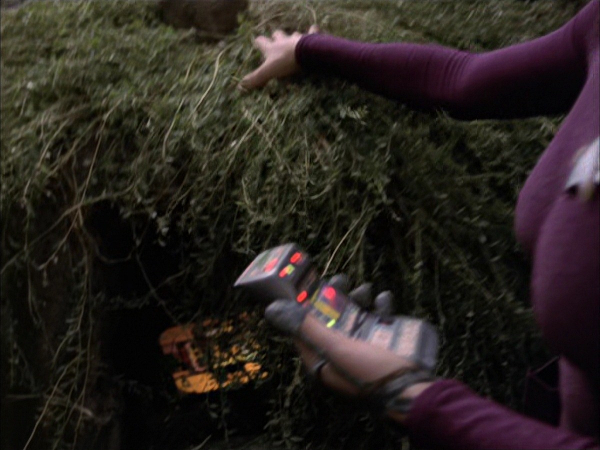 extant_StarTrek_VOY_7x09_7x10-FleshAndBlood_0815.jpg