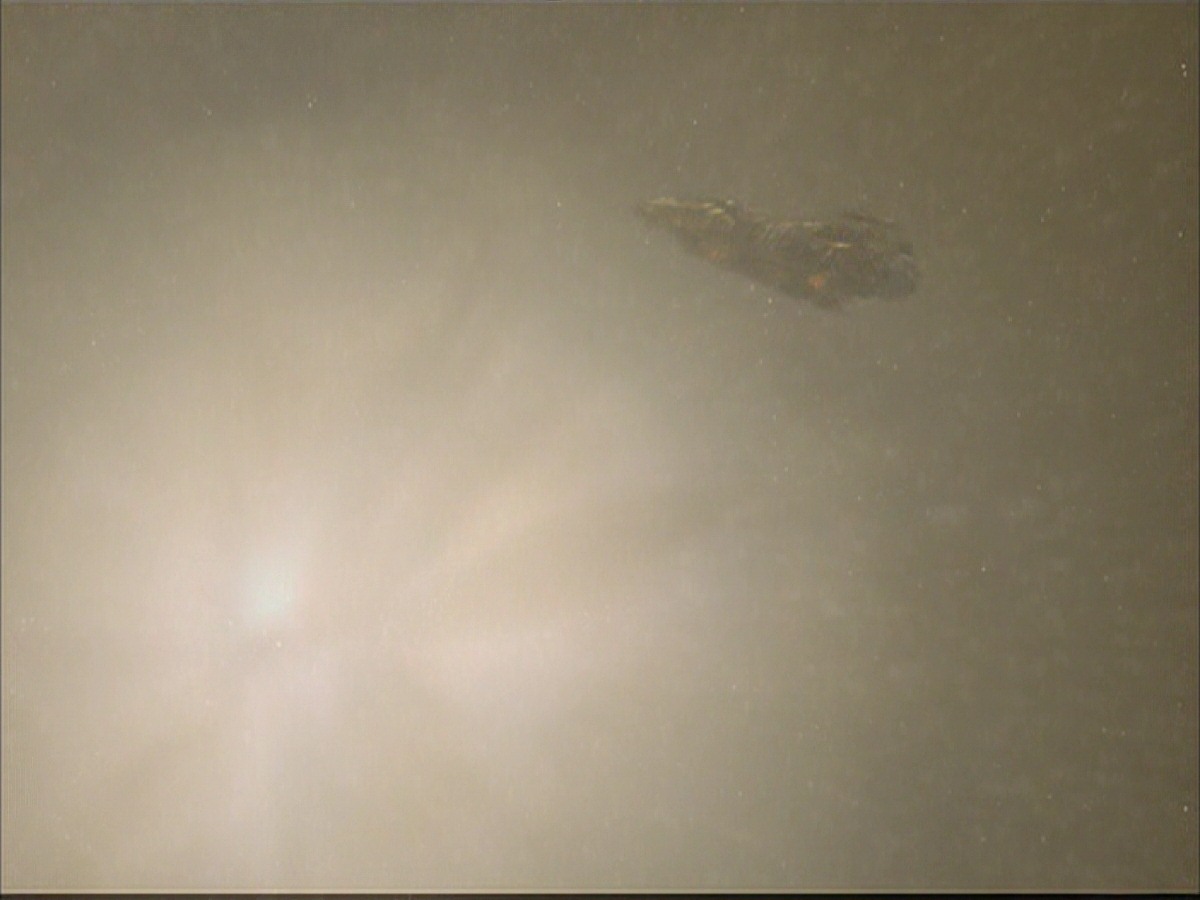 extant_StarTrek_VOY_7x09_7x10-FleshAndBlood_1545.jpg