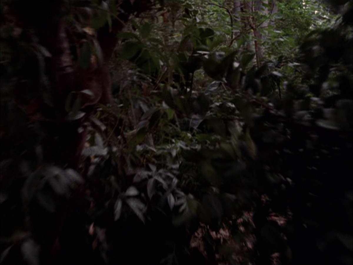 extant_StarTrek_VOY_7x09_7x10-FleshAndBlood_2636.jpg