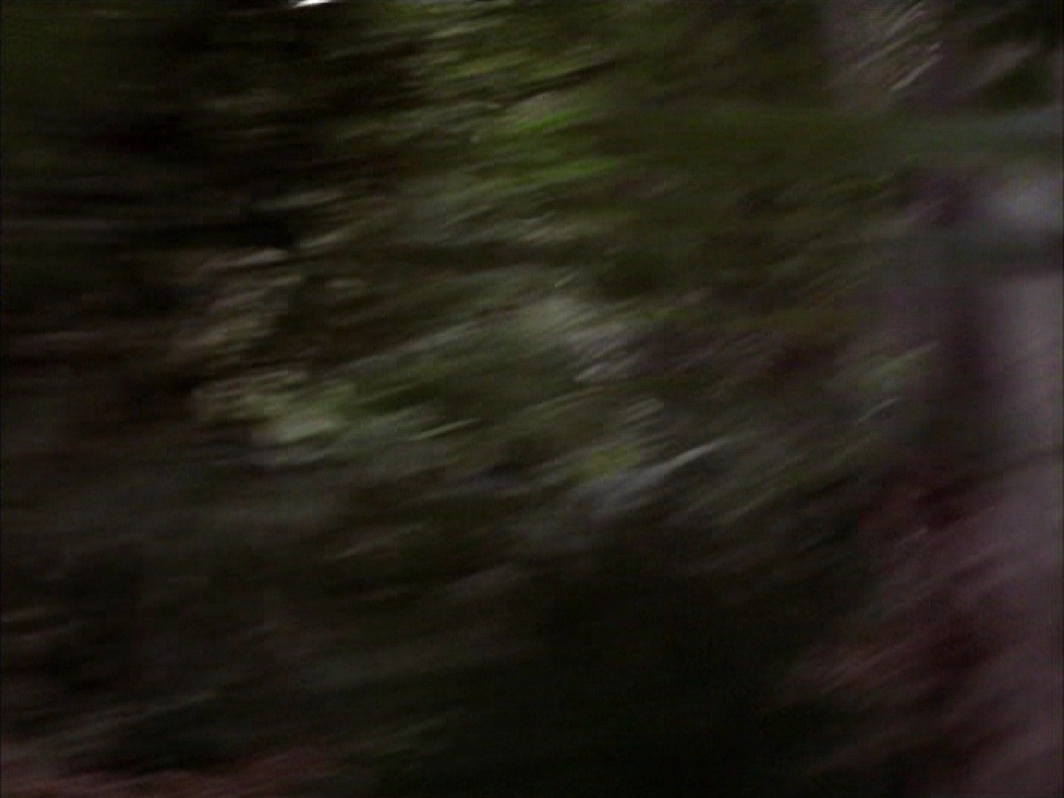 extant_StarTrek_VOY_7x09_7x10-FleshAndBlood_2641.jpg