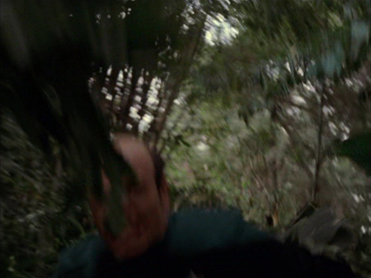 extant_StarTrek_VOY_7x09_7x10-FleshAndBlood_2648.jpg