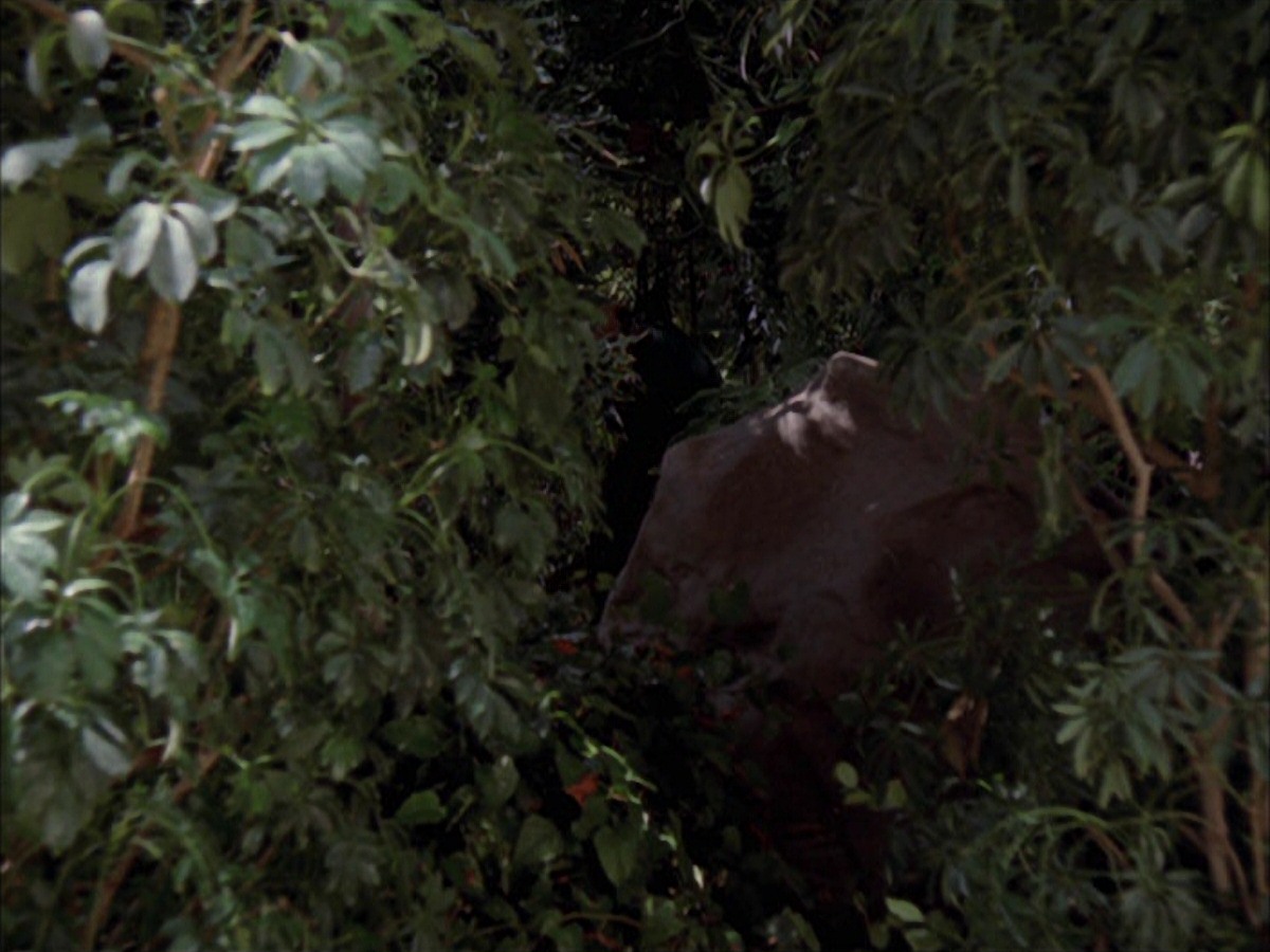 extant_StarTrek_VOY_7x09_7x10-FleshAndBlood_2659.jpg
