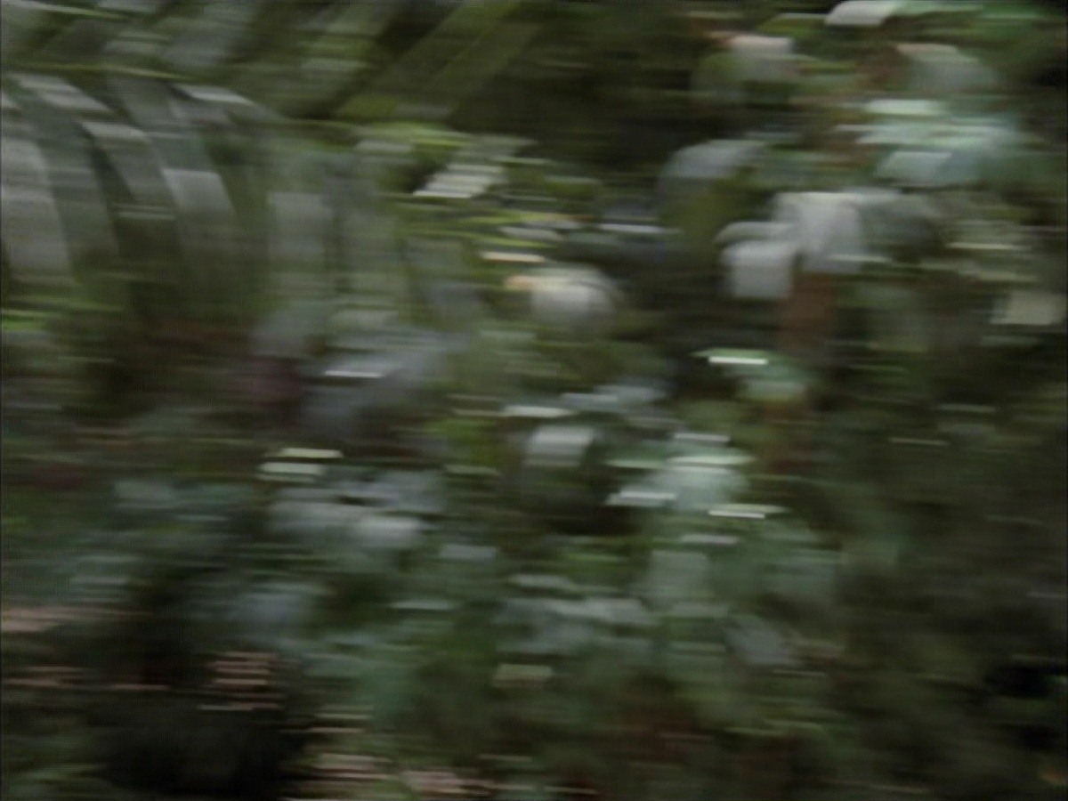 extant_StarTrek_VOY_7x09_7x10-FleshAndBlood_2663.jpg