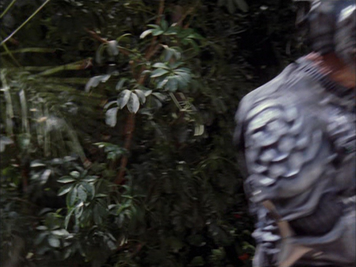 extant_StarTrek_VOY_7x09_7x10-FleshAndBlood_2668.jpg