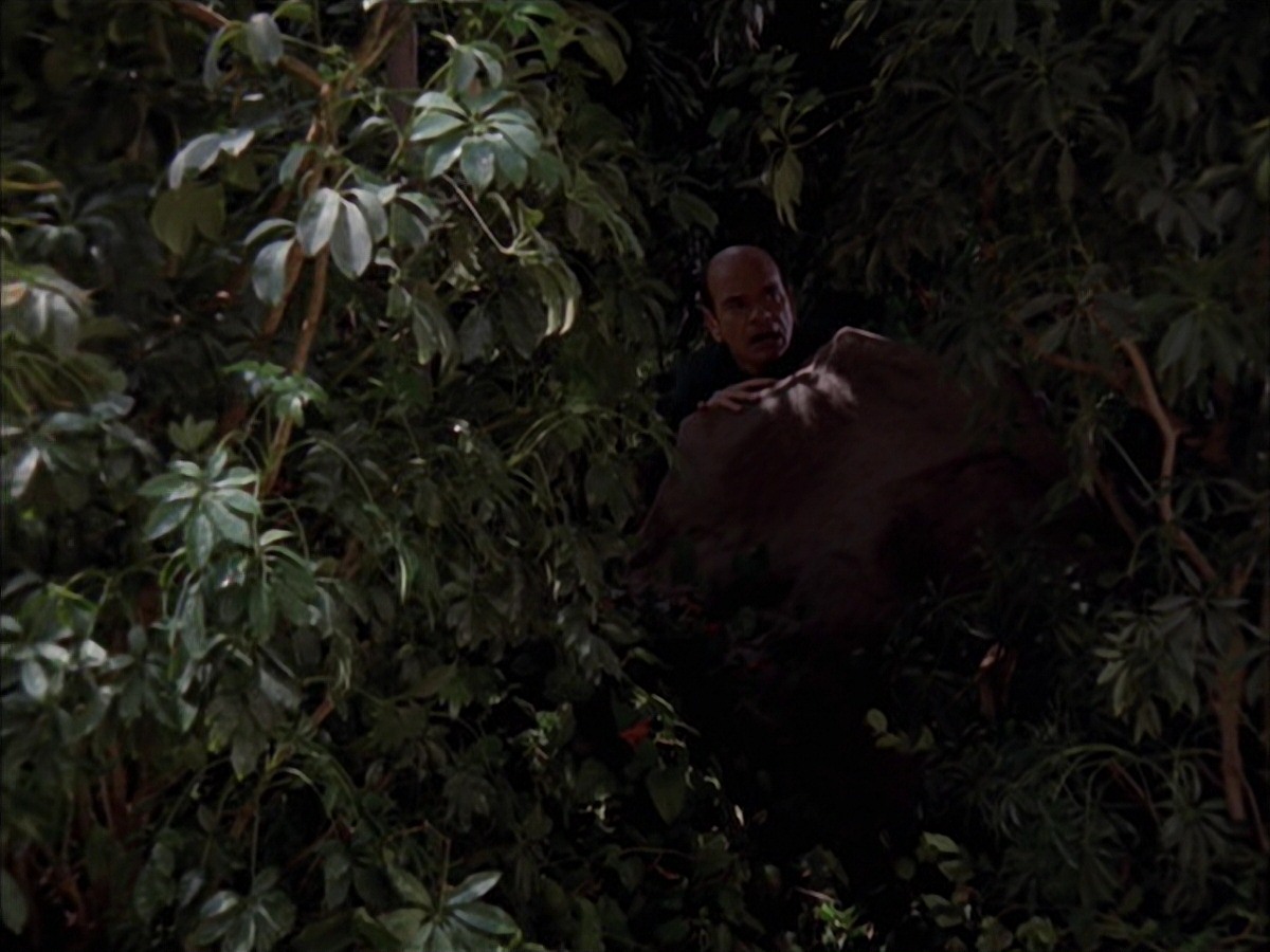 extant_StarTrek_VOY_7x09_7x10-FleshAndBlood_2672.jpg