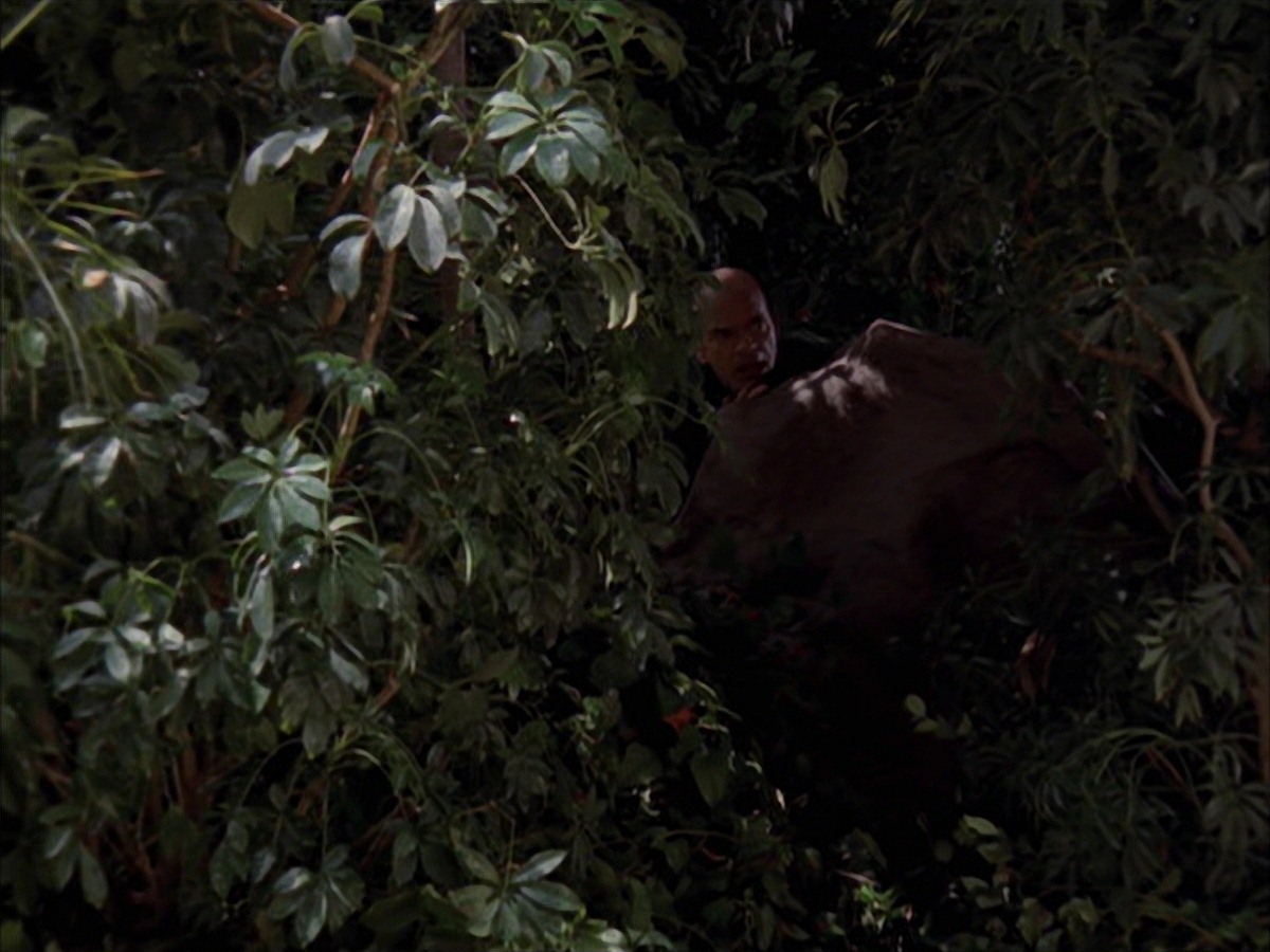 extant_StarTrek_VOY_7x09_7x10-FleshAndBlood_2673.jpg