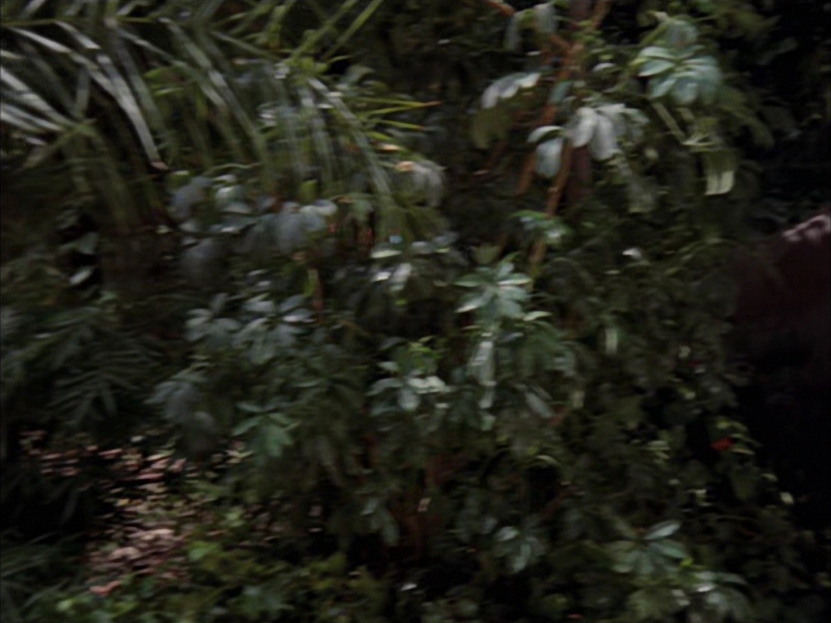 extant_StarTrek_VOY_7x09_7x10-FleshAndBlood_2675.jpg