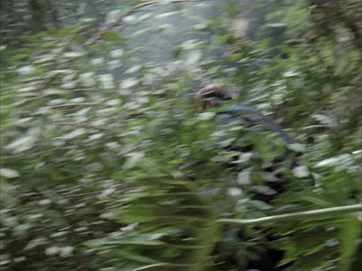 extant_StarTrek_VOY_7x09_7x10-FleshAndBlood_2689.jpg