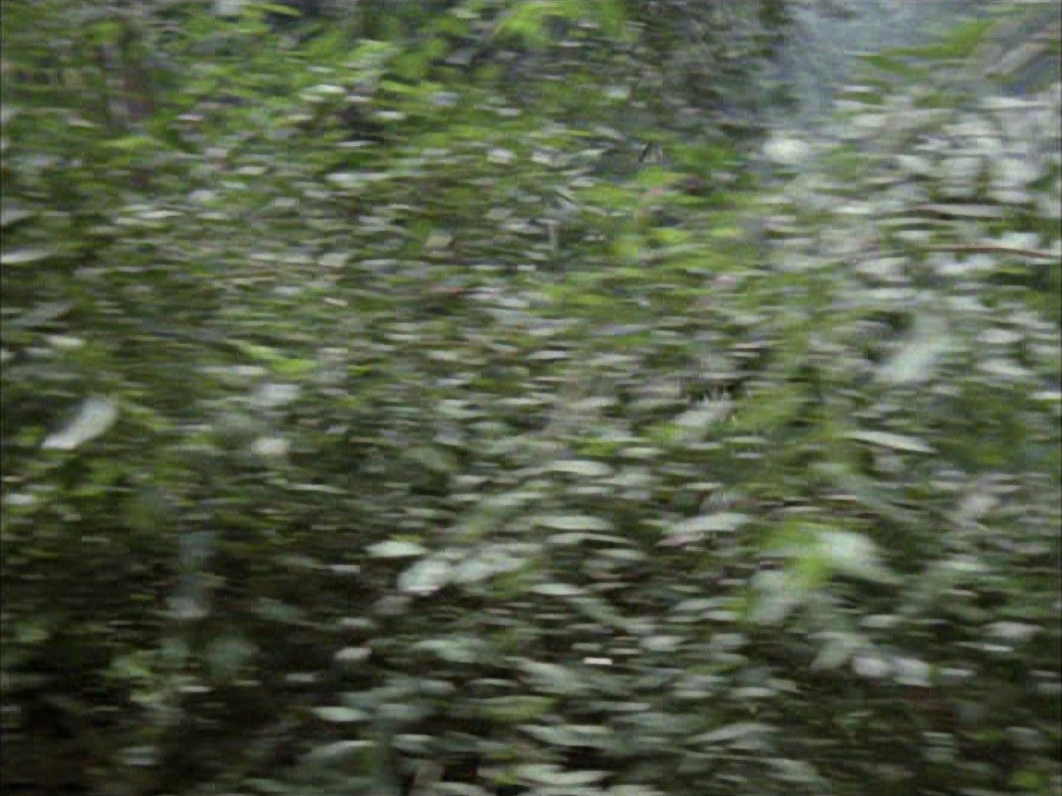 extant_StarTrek_VOY_7x09_7x10-FleshAndBlood_2690.jpg