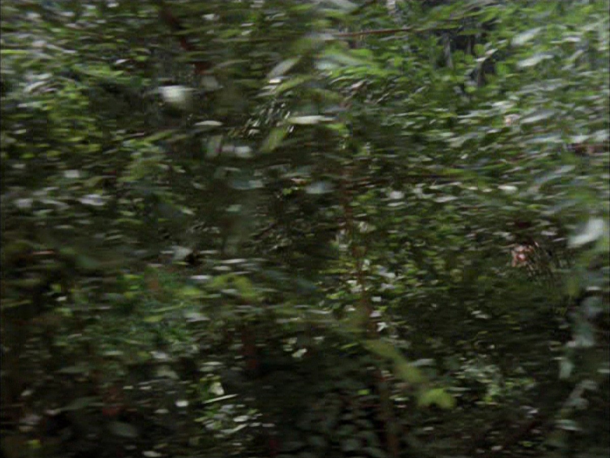 extant_StarTrek_VOY_7x09_7x10-FleshAndBlood_2691.jpg
