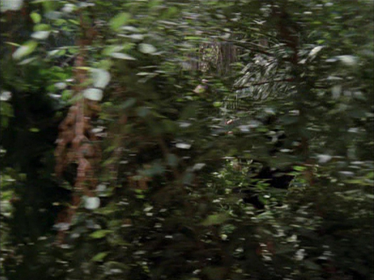 extant_StarTrek_VOY_7x09_7x10-FleshAndBlood_2692.jpg