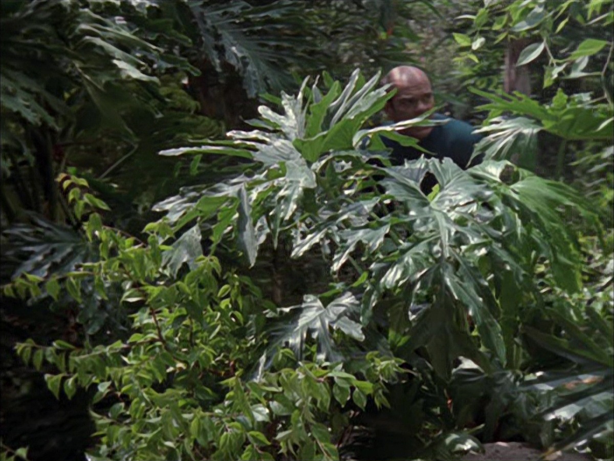 extant_StarTrek_VOY_7x09_7x10-FleshAndBlood_2695.jpg