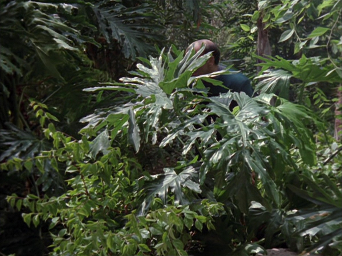 extant_StarTrek_VOY_7x09_7x10-FleshAndBlood_2696.jpg
