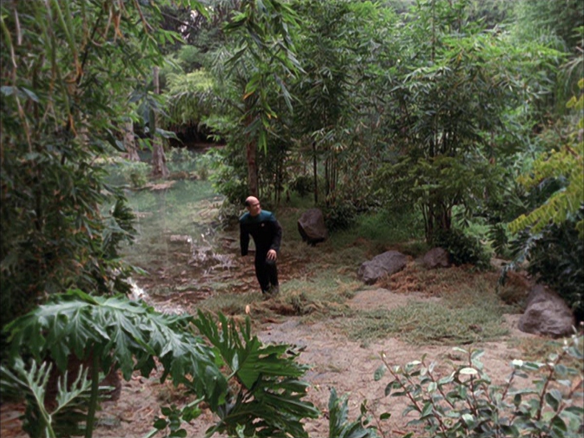 extant_StarTrek_VOY_7x09_7x10-FleshAndBlood_2706.jpg