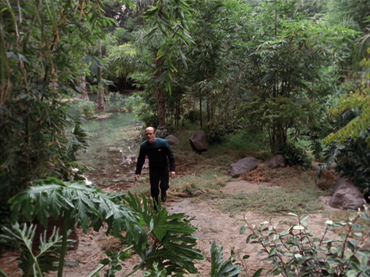 extant_StarTrek_VOY_7x09_7x10-FleshAndBlood_2708.jpg