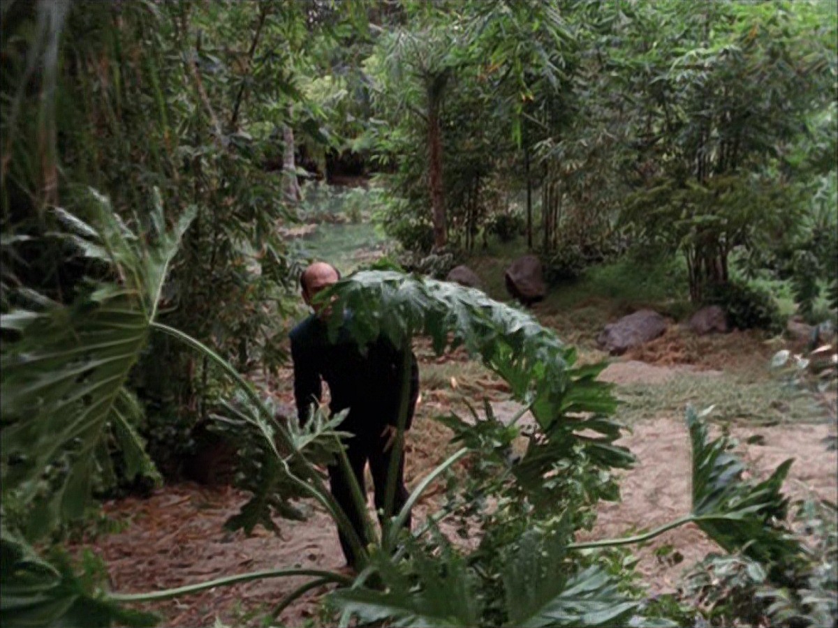 extant_StarTrek_VOY_7x09_7x10-FleshAndBlood_2712.jpg