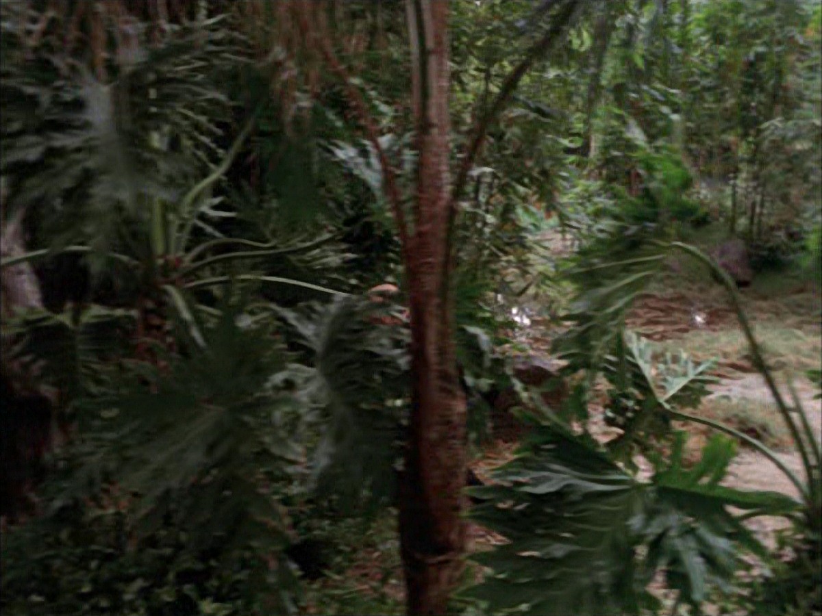 extant_StarTrek_VOY_7x09_7x10-FleshAndBlood_2715.jpg