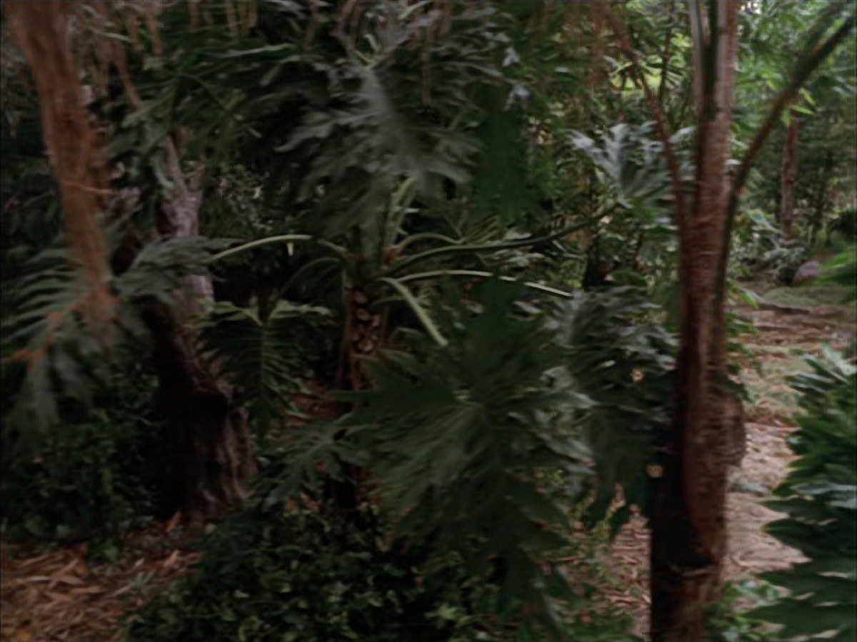 extant_StarTrek_VOY_7x09_7x10-FleshAndBlood_2716.jpg