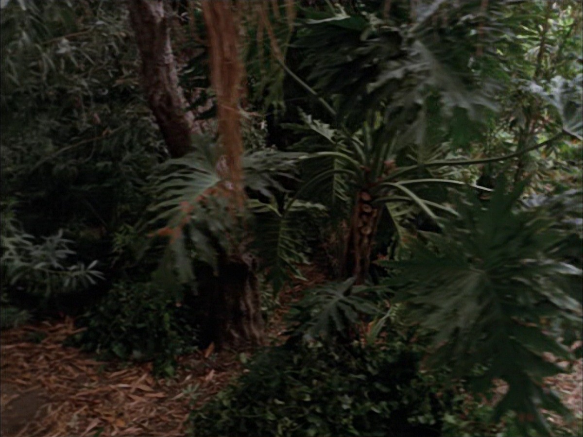 extant_StarTrek_VOY_7x09_7x10-FleshAndBlood_2717.jpg