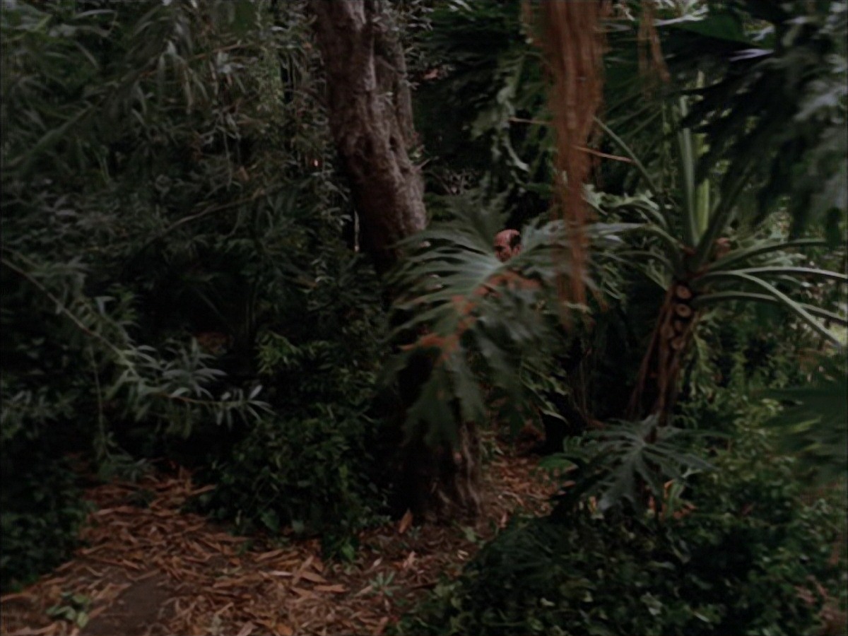 extant_StarTrek_VOY_7x09_7x10-FleshAndBlood_2718.jpg