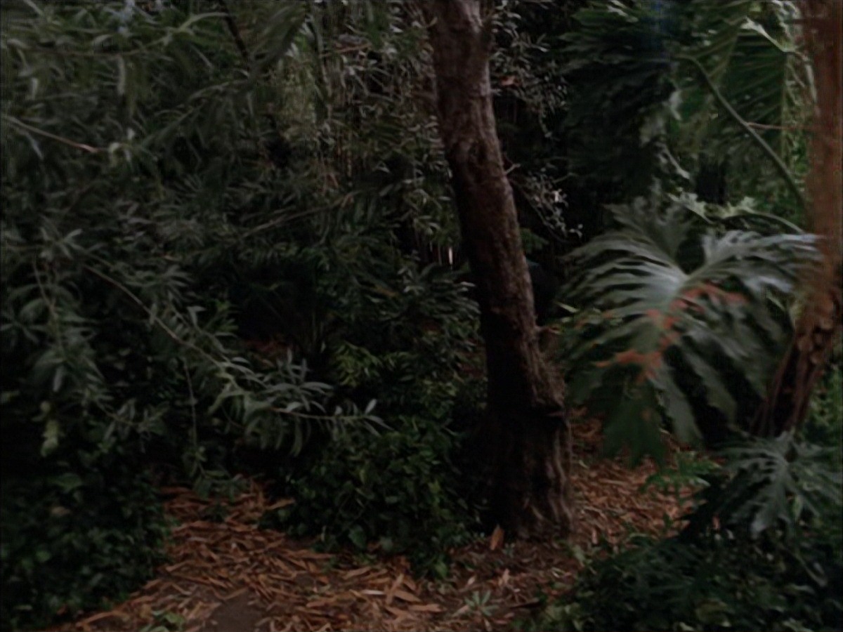 extant_StarTrek_VOY_7x09_7x10-FleshAndBlood_2719.jpg