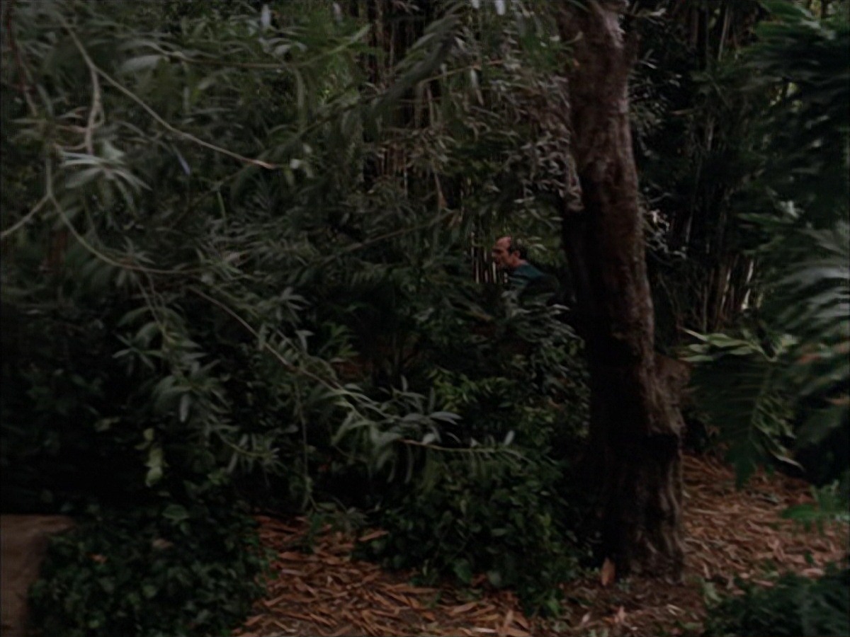 extant_StarTrek_VOY_7x09_7x10-FleshAndBlood_2720.jpg