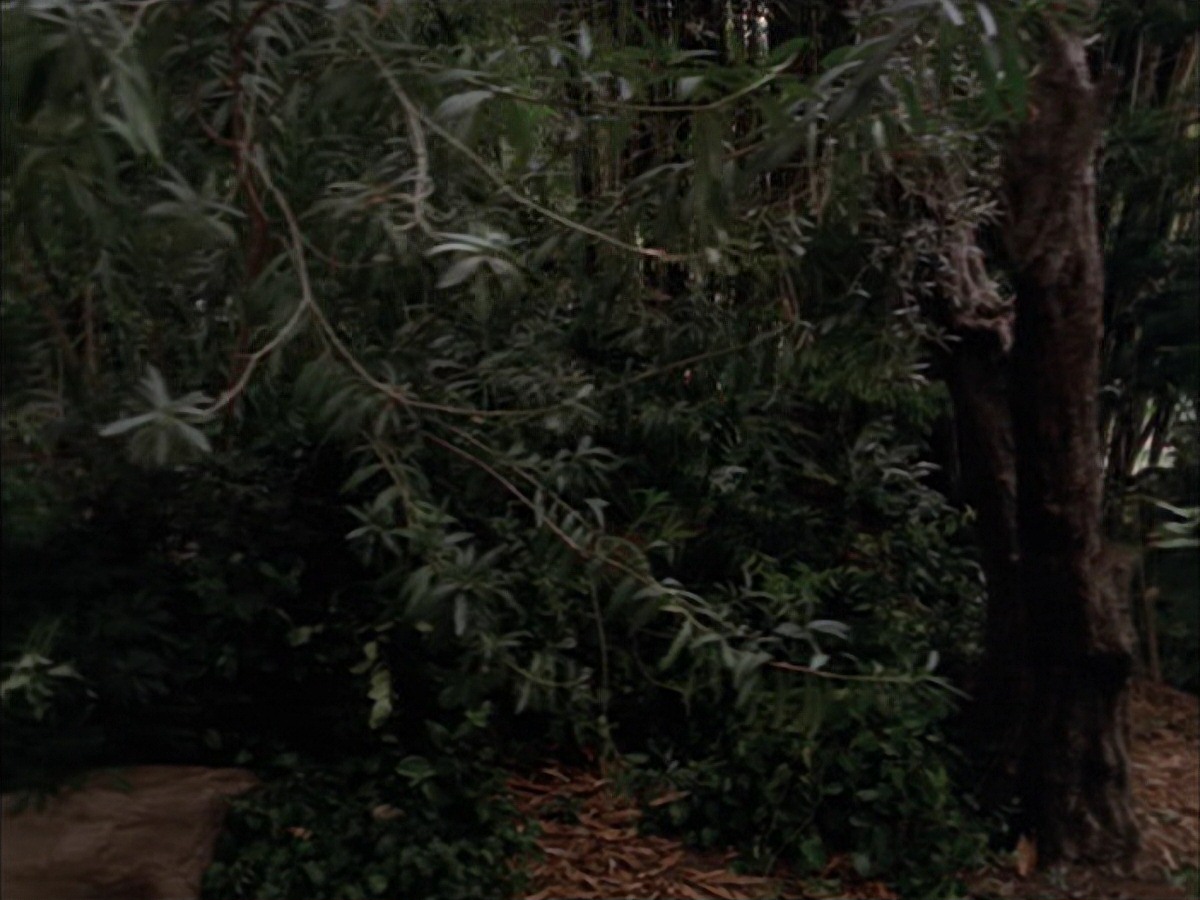 extant_StarTrek_VOY_7x09_7x10-FleshAndBlood_2721.jpg