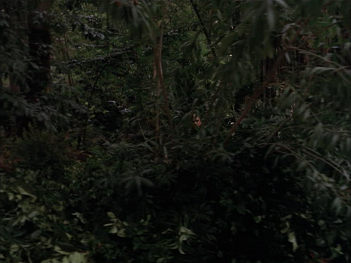 extant_StarTrek_VOY_7x09_7x10-FleshAndBlood_2724.jpg