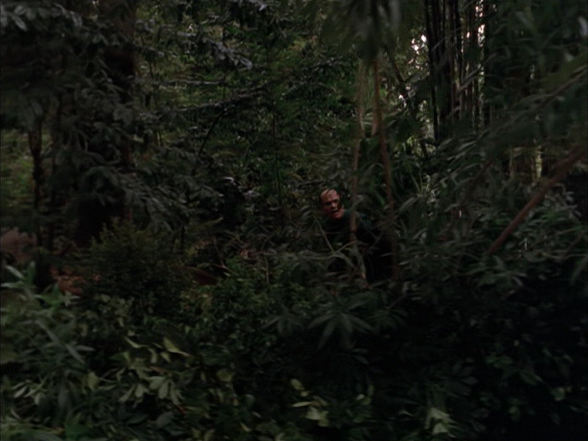 extant_StarTrek_VOY_7x09_7x10-FleshAndBlood_2725.jpg