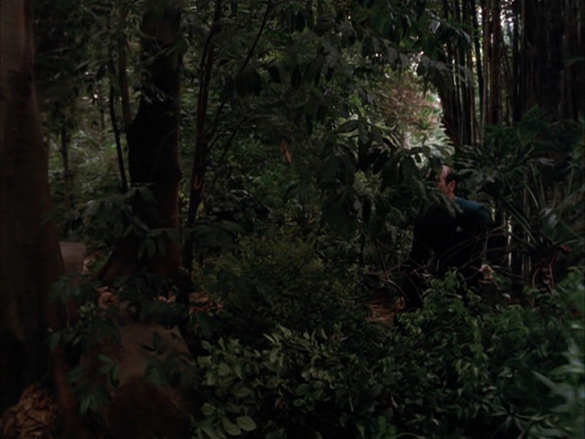 extant_StarTrek_VOY_7x09_7x10-FleshAndBlood_2729.jpg