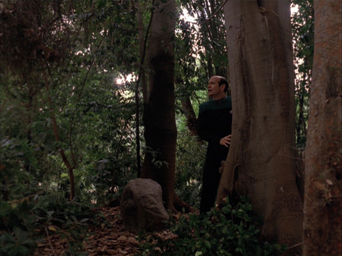 extant_StarTrek_VOY_7x09_7x10-FleshAndBlood_2742.jpg