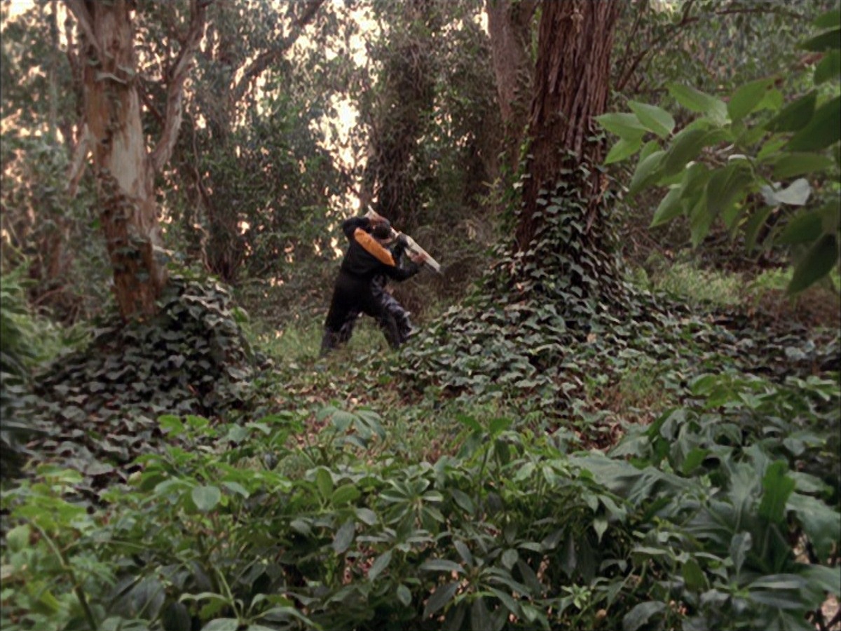 extant_StarTrek_VOY_7x09_7x10-FleshAndBlood_2756.jpg