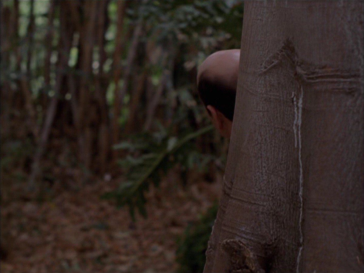 extant_StarTrek_VOY_7x09_7x10-FleshAndBlood_2766.jpg