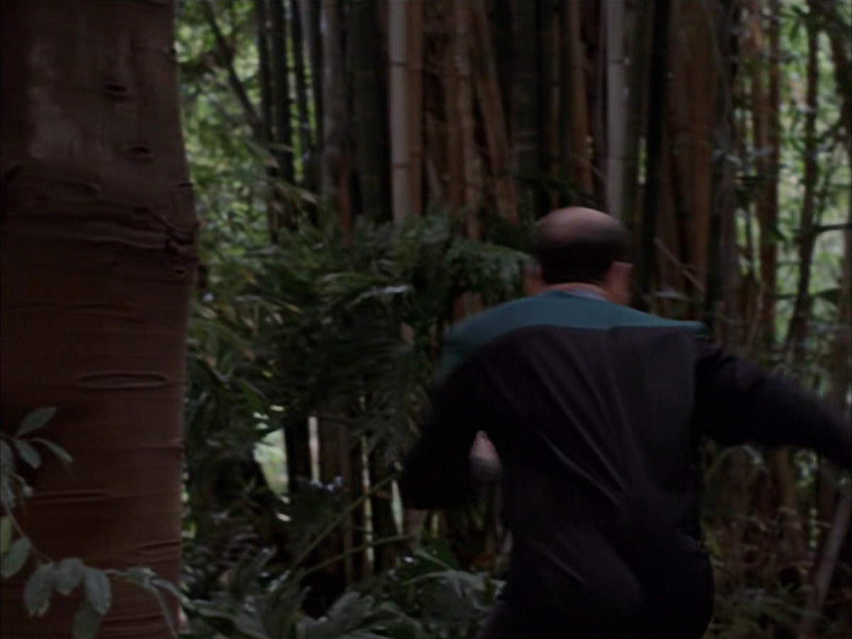 extant_StarTrek_VOY_7x09_7x10-FleshAndBlood_2784.jpg