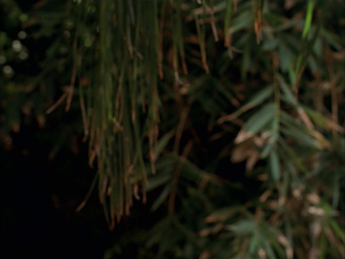extant_StarTrek_VOY_7x09_7x10-FleshAndBlood_2830.jpg