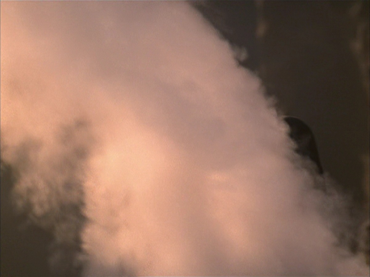 extant_StarTrek_VOY_7x09_7x10-FleshAndBlood_6522.jpg