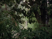Filename=extant_StarTrek_VOY_7x09_7x10-FleshAndBlood_0002.jpg
Filesize=251KiB
Dimensions=1200x900
Date added=Jan 13, 2020 extant_StarTrek_VOY_7x09_7x10-FleshAndBlood_0002.jpg